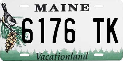ME license plate 6176TK