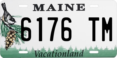 ME license plate 6176TM