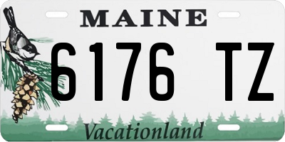 ME license plate 6176TZ