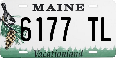 ME license plate 6177TL