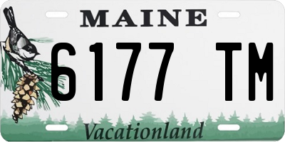 ME license plate 6177TM