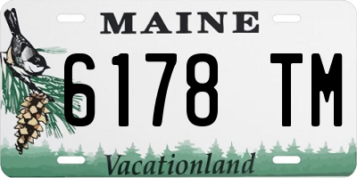 ME license plate 6178TM