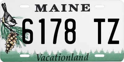 ME license plate 6178TZ