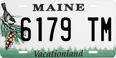 ME license plate 6179TM