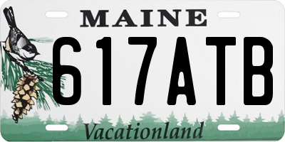 ME license plate 617ATB