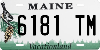 ME license plate 6181TM