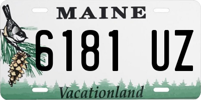 ME license plate 6181UZ