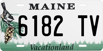 ME license plate 6182TV