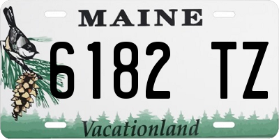 ME license plate 6182TZ