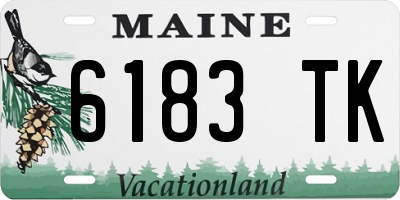 ME license plate 6183TK