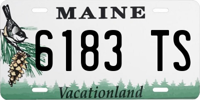 ME license plate 6183TS