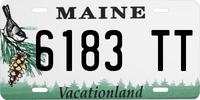 ME license plate 6183TT