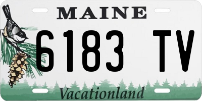 ME license plate 6183TV