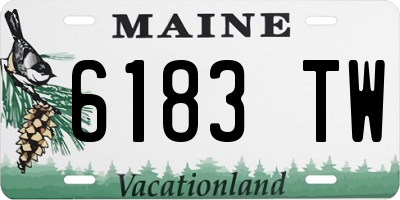 ME license plate 6183TW