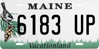 ME license plate 6183UP