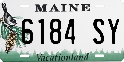 ME license plate 6184SY