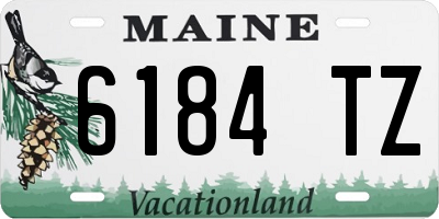 ME license plate 6184TZ