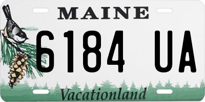 ME license plate 6184UA