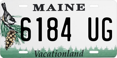 ME license plate 6184UG