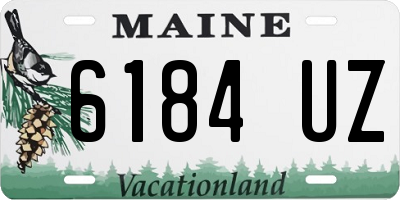 ME license plate 6184UZ