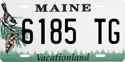 ME license plate 6185TG