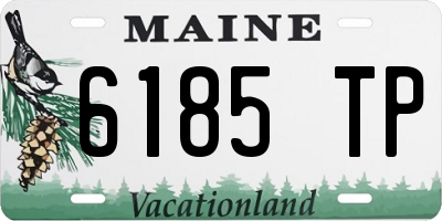 ME license plate 6185TP