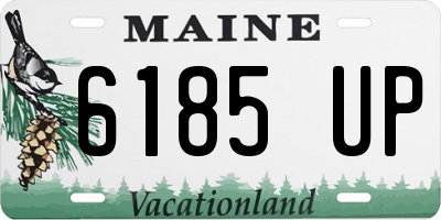 ME license plate 6185UP