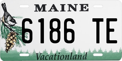 ME license plate 6186TE
