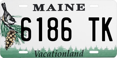 ME license plate 6186TK