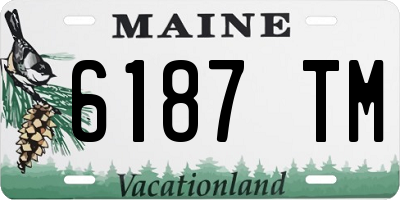 ME license plate 6187TM
