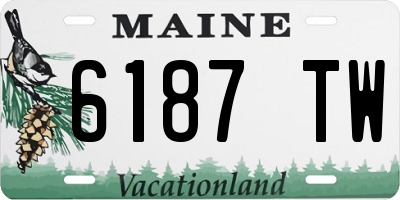 ME license plate 6187TW