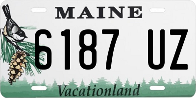ME license plate 6187UZ