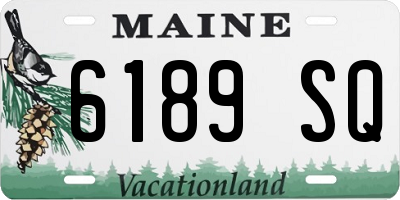 ME license plate 6189SQ