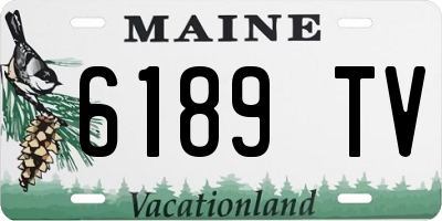 ME license plate 6189TV