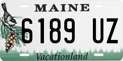 ME license plate 6189UZ