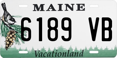 ME license plate 6189VB