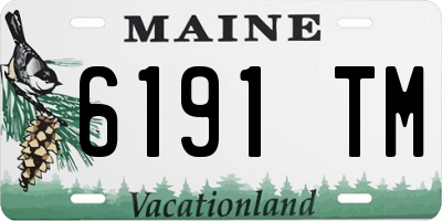 ME license plate 6191TM