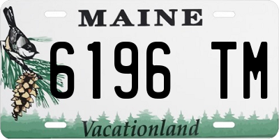 ME license plate 6196TM