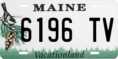 ME license plate 6196TV