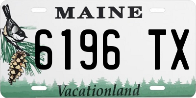 ME license plate 6196TX