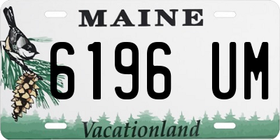 ME license plate 6196UM