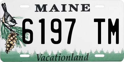 ME license plate 6197TM