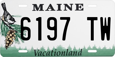 ME license plate 6197TW