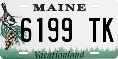 ME license plate 6199TK
