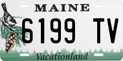 ME license plate 6199TV