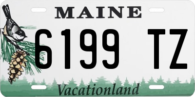 ME license plate 6199TZ