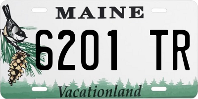 ME license plate 6201TR