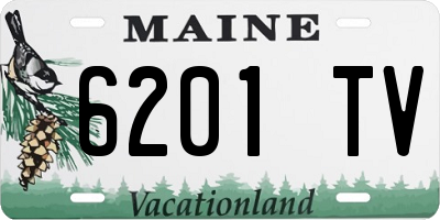 ME license plate 6201TV
