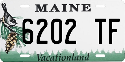 ME license plate 6202TF
