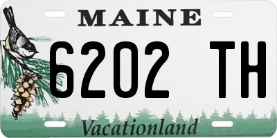 ME license plate 6202TH